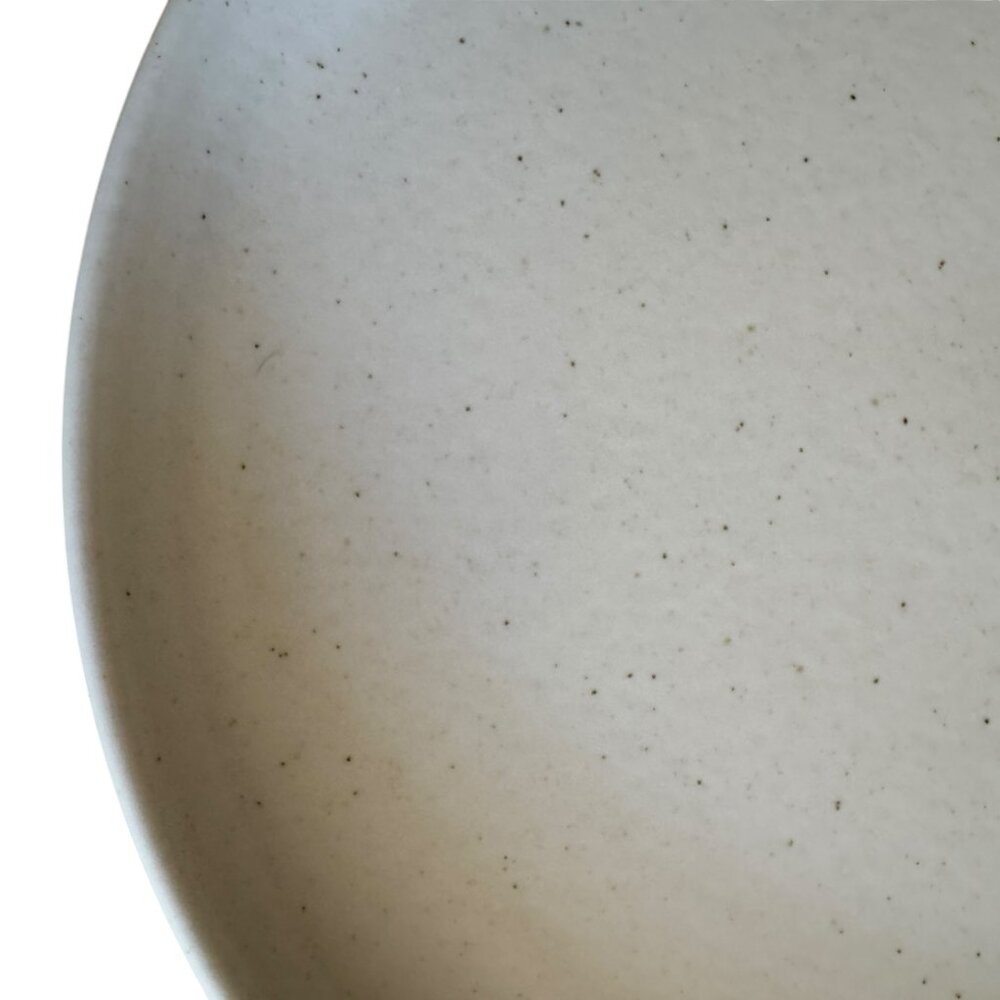 Casafina Ceramic Stoneware 10.5 Dinner Plate Pacifica Collection Vanilla Speckle - Picture 8 of 13